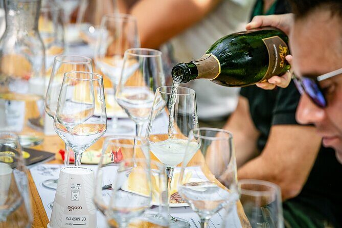 Guided Tour and wine tasting 5 wines to discover the Conegliano Valdobbiadene - The Atmosphere and Group Size