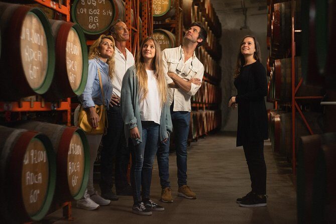 Guided Tour at Ron Arehucas Distillery - Practical Details & Tips