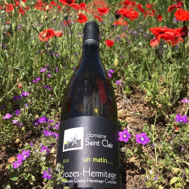 Guided tour & Crozes-Hermitage wine tasting - Authentic Rhône Valley Wine Experience at Domaine Saint Clair