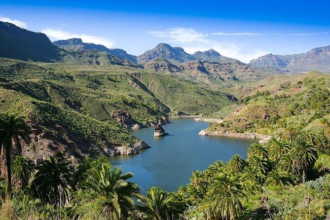 Guided tour: Discover Gran Canaria - The Sum Up