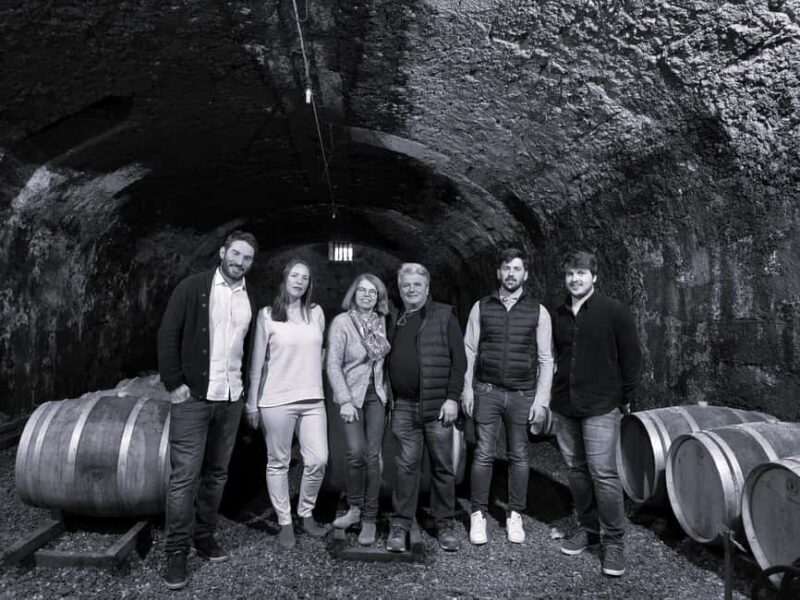 Guided tour from vine to glass - An Introduction to the Estate and Its Heritage