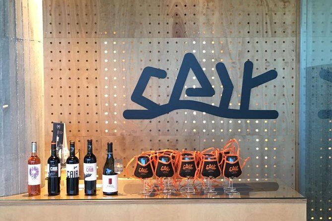 Guided tour glass in hand with wine tasting directly from the barrel - Setting the Scene: What to Expect