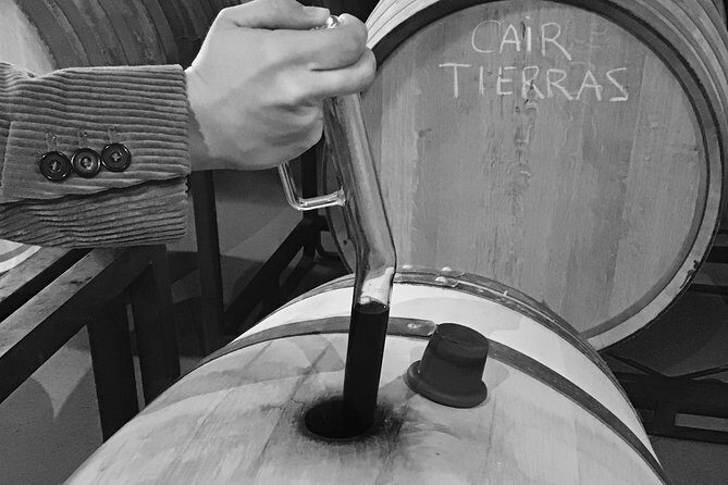 Guided tour glass in hand with wine tasting directly from the barrel - Additional Details and Practical Considerations