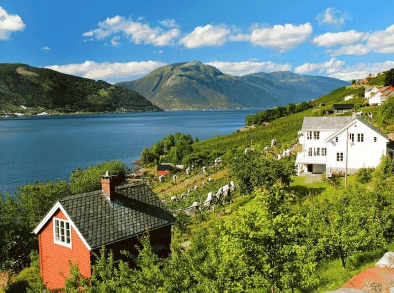 Guided tour: Hardangerfjord, Waterfalls and Ferry crossing - Jondal and Tørvikbygd: The Final Legs