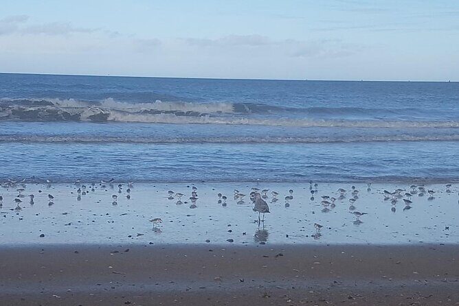 Guided Tour in an Old Convertible Car on the Côte de Nacre - Who Should Consider This Tour?