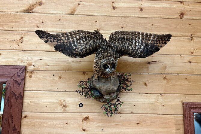 Guided Tour in Wildlife Gallery - Who Will Love This Tour?