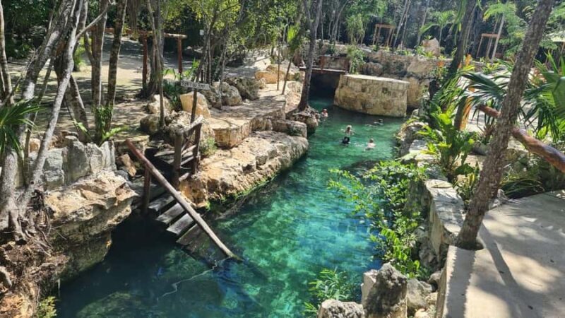 Guided tour of 4 cenotes at Casa Tortugas with transportation and buffet - Key Points