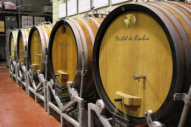 Guided Tour Of An Old Winery with Tasting from Alicante and Elche - Final Thoughts