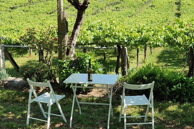 Guided tour of Bodegas Granbazán - Final verdict: A genuine taste of Galicia’s Albariño