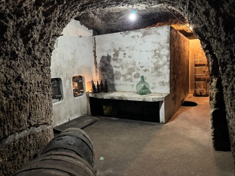 Guided tour of Bodegas J.F. Iradier, Rioja Alavesa - Key Points