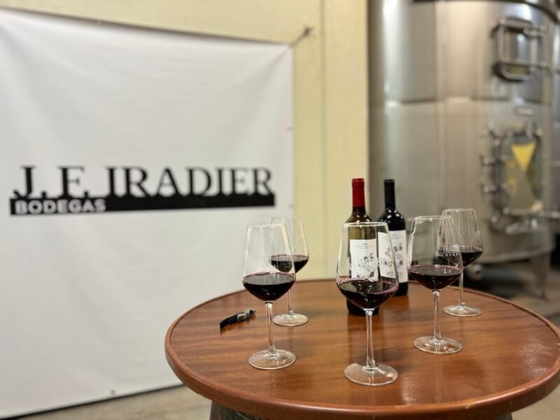 Guided tour of Bodegas J.F. Iradier, Rioja Alavesa - An in-depth look at the Bodegas J.F. Iradier tour