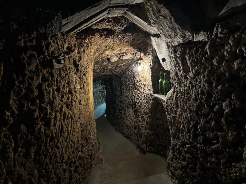 Guided tour of Bodegas J.F. Iradier, Rioja Alavesa - Final thoughts