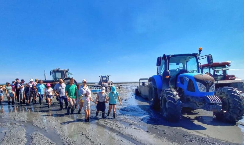 Guided tour of Cancale's oyster beds - Why this tour offers genuine value