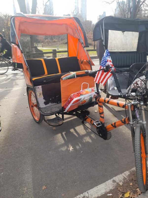 Guided tour of central park - Exploring Central Park on a Pedicab: An Overview