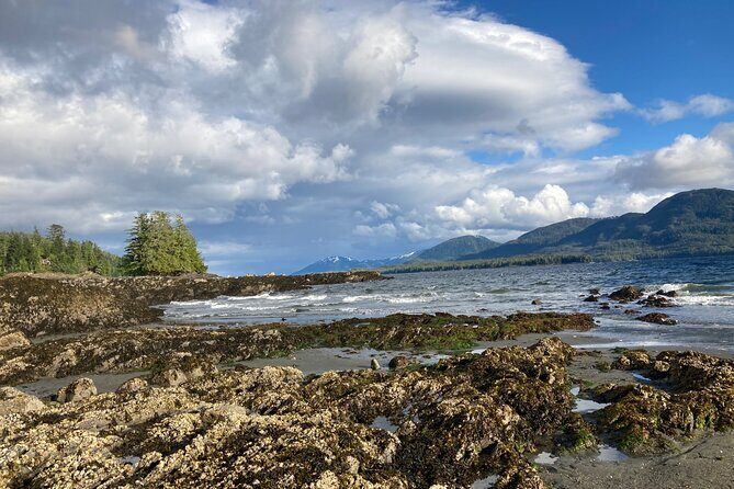 Guided Tour of Ketchikans Top Attractions - The Sum Up