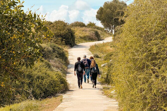 Guided Tour of Limassol with Kourion and Kolossi Castle - What Travelers Say