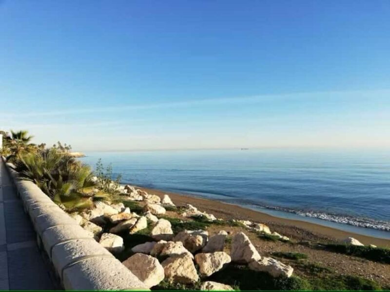 Guided tour of Malaga fishing scene with cooking workshop - Exploring the Malaga Fishing Scene: A Deep Dive