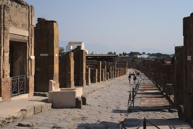 Guided Tour of Pompeii Ruins with Lunch and Wine - Is It Worth the Price?