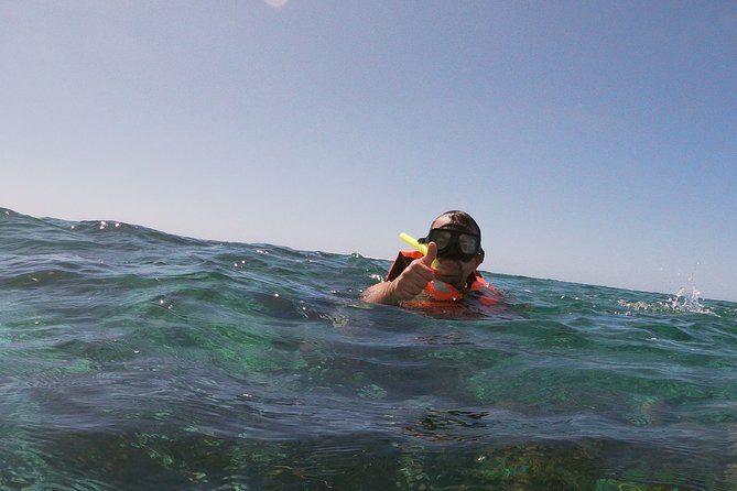 Guided Tour of Puerto Morelos Reefs with Snorkeling Experience - Key Points