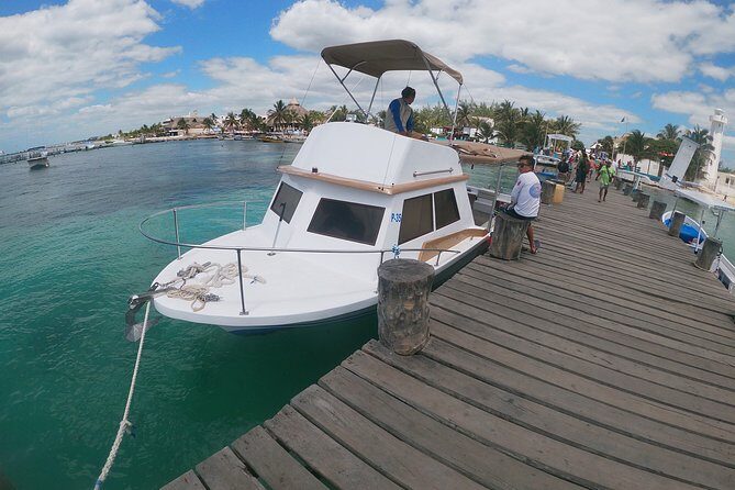 Guided Tour of Puerto Morelos Reefs with Snorkeling Experience - Practical Details: Transportation, Group Size, and Cost