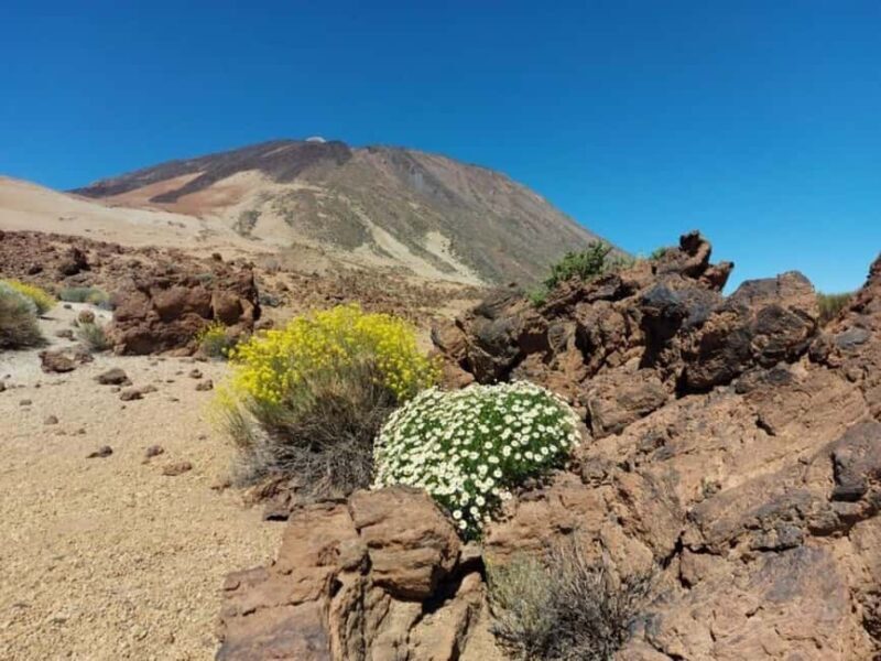 Guided tour of Roques de Garcia - Teide National Park - FAQ