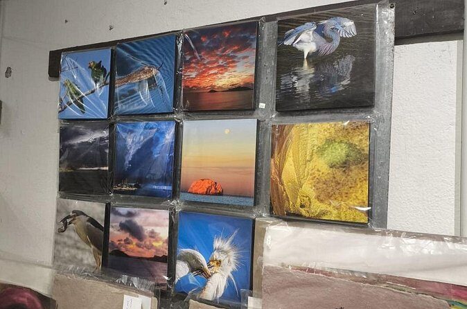 Guided tour of the art galleries of the Historic Center - Authentic Experiences and Visitor Feedback