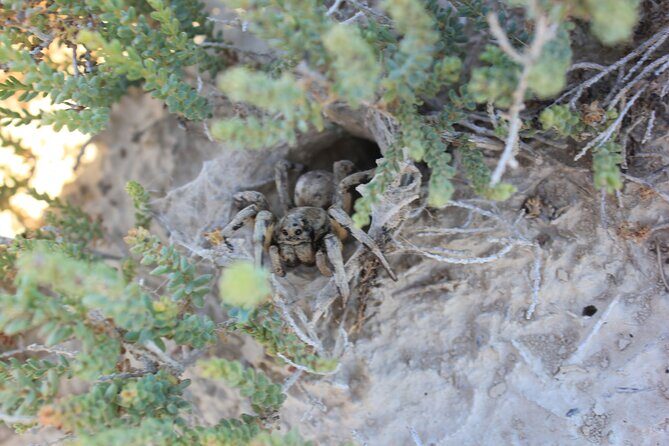 Guided tour of the Bardenas Reales de Navarra by 4x4 - Key Points