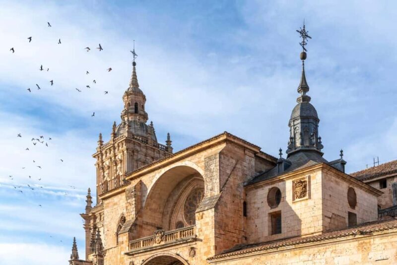 Guided tour of the Burgo de Osma (on an ECO-BUS) - Who Should Consider This Tour?