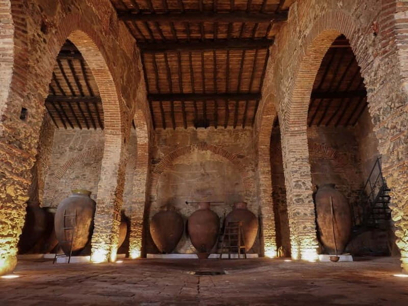 Guided tour of the Cella Vinaria Antiqua Wine Cellar Museum - Exploring the Tour in Detail