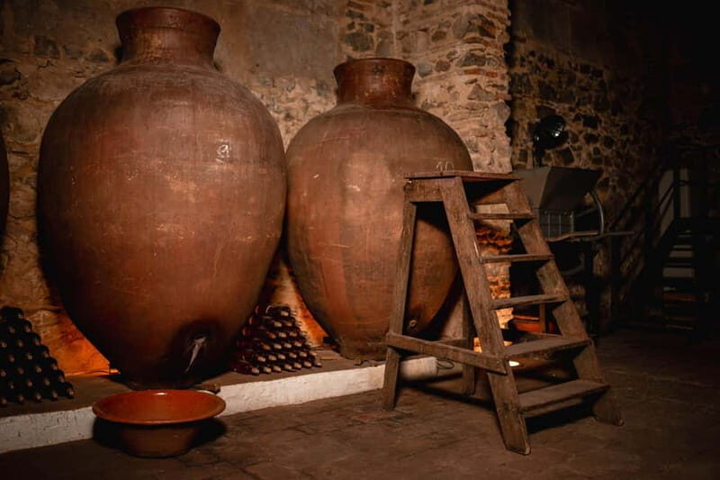 Guided tour of the Cella Vinaria Antiqua Wine Cellar Museum - Why We Think This Tour Offers Great Value