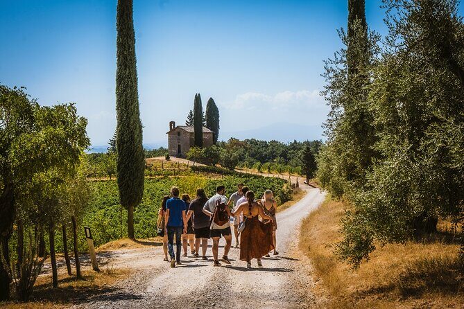 Guided tour of the cellars with wine tasting and lunch - An In-Depth Look at the Tuscany Wine Tour