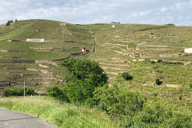 Guided Tour of the Coteaux Côte Rôtie for Parents and Children Duos - Final Thoughts