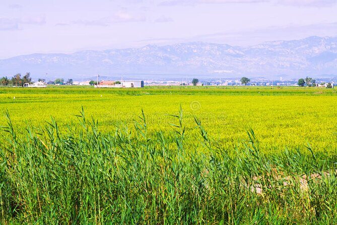 Guided tour of the Ebro Delta (North Delta) - The Practicalities: What to Keep in Mind