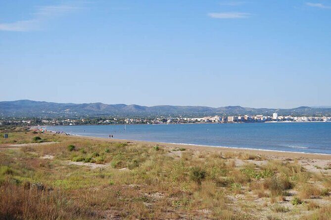 Guided tour of the Ebro Delta (North Delta) - Who Will Appreciate This Tour?