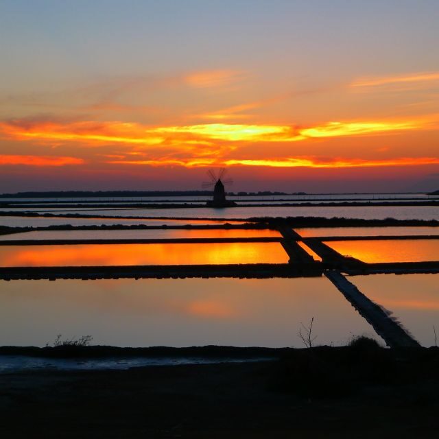 Guided tour of the Marsala Salt Pans and salt harvesting - A Deep Dive into the Salt Pans of Marsala
