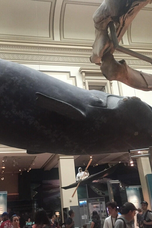 Guided Tour of The Natural History Museum - The Itinerary: What You Can Expect