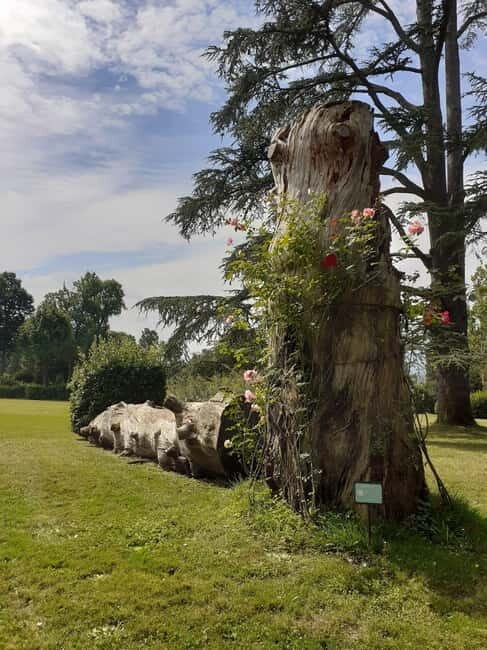 Guided tour of the park of Villa Reale di Marlia - Introduction: What Makes This Tour Special?