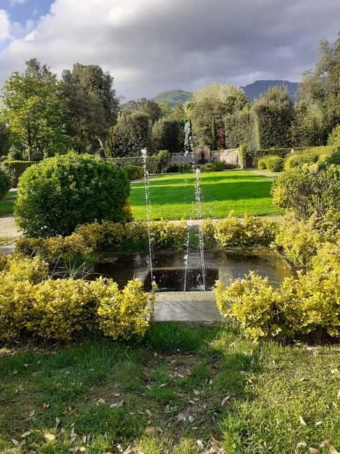 Guided tour of the park of Villa Reale di Marlia - Pricing & Value