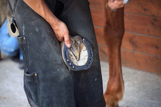 Guided tour of the stables of El Ranchito in Malaga - FAQ