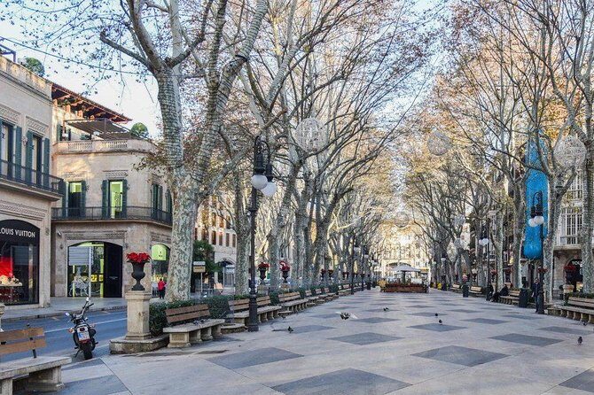 Guided Tour: Palma Old town and Cathedral Visit - Authentic Experiences from Past Travelers