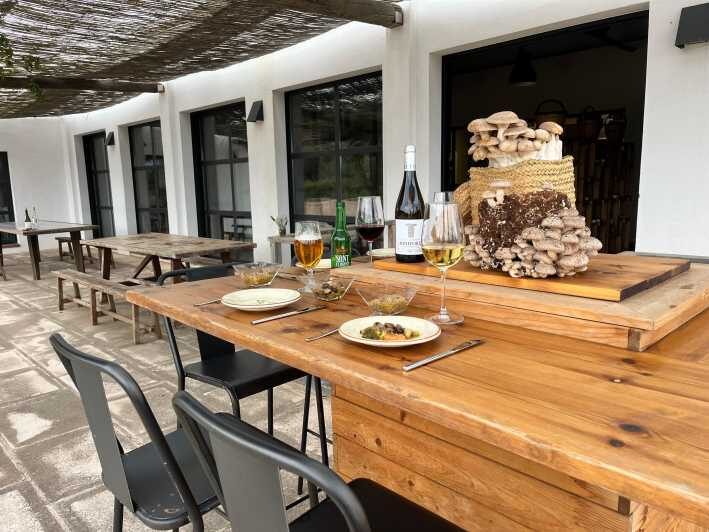 GUIDED TOUR + TASTE IN A MUSHROOM FARM - Key Points