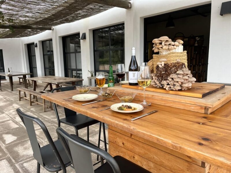 GUIDED TOUR + TASTE IN A MUSHROOM FARM - A Deep Dive into the Mushroom Farm Tour