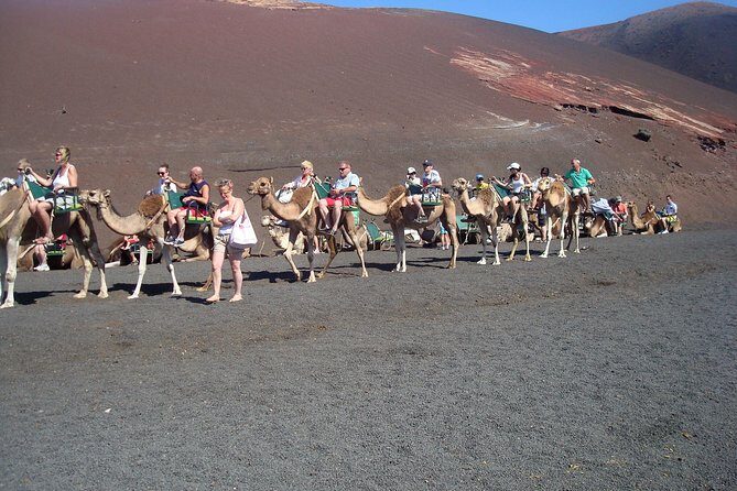 Guided tour: Timanfaya National Park and La Geria with pick-up - La Geria: Lanzarote’s Wine-Making Wonder