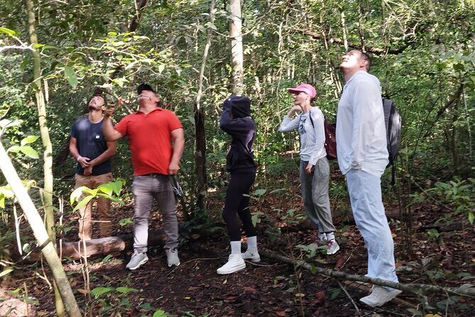 Guided Tour to Calakmul and Jungle Trail | From Bacalar. - The Sum Up