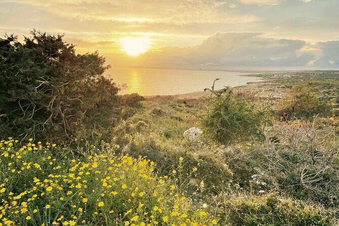 Guided Tour to Cape Greko from Larnaca - A Deep Dive Into the Experience