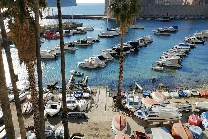 Guided Tour to discover Dubrovnik's Old Town, by day or night - The Experience in Detail