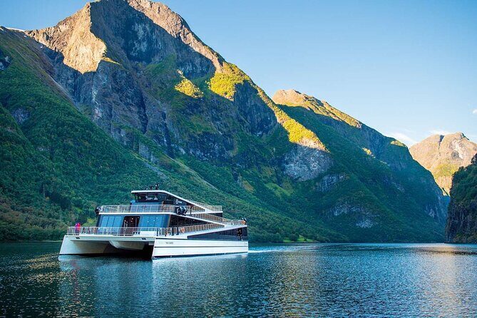 Guided Tour To Nærøyfjorden, Flåm And Stegastein - Viewpoint Cruise - Practical Details & What You Should Know