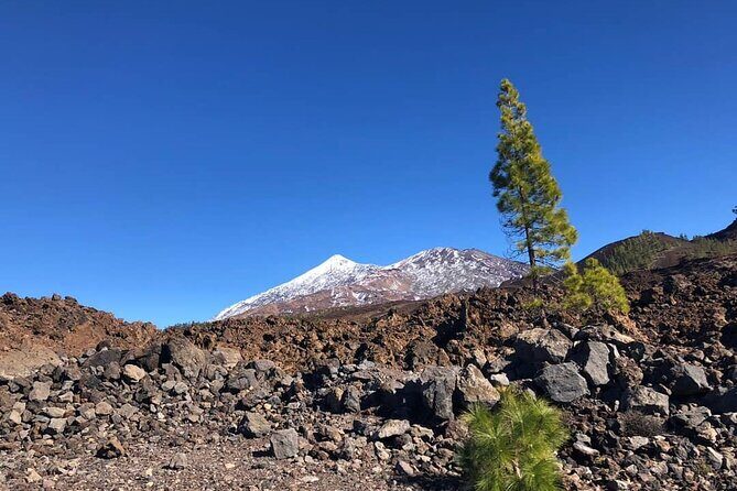 Guided Tour to Teide National Park in Tenerife - Exploring the Guided Tour to Teide National Park in Tenerife