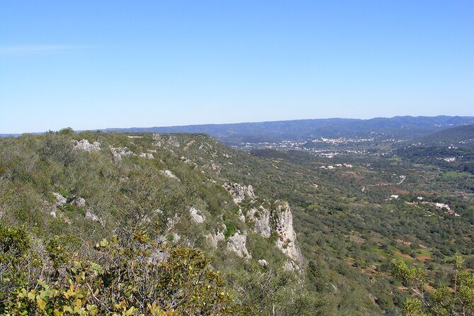 Guided Tour to the Geological Monument of Rocha da Pena - Deep Dive into the Rocha da Pena Guided Tour
