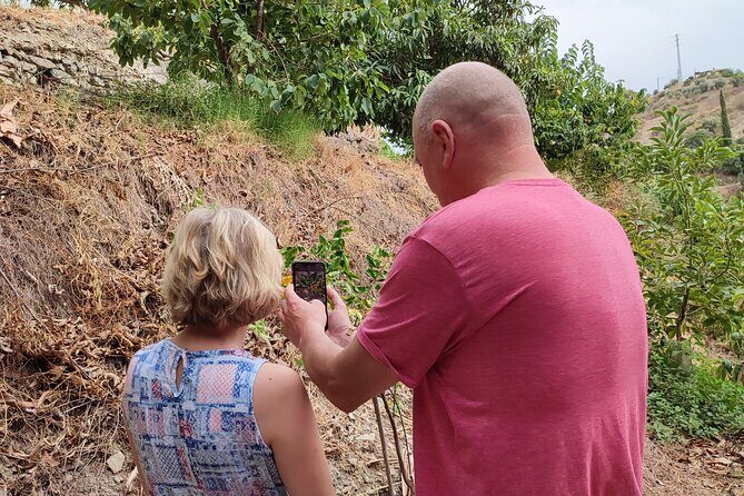 Guided Tour to the only coffee farm in Europe - Who Will Enjoy This Tour?